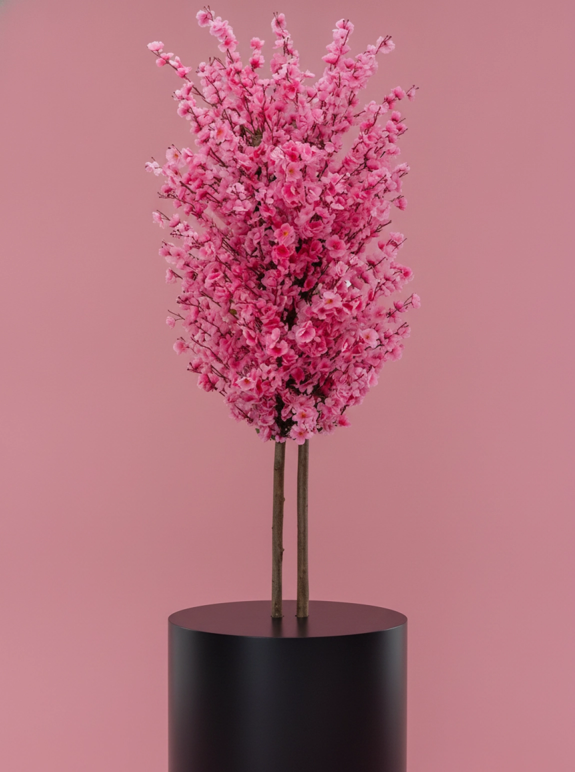 Saksıda Yapay 2 Gövdeli Bahar Dalı Ağacı 180 Cm Pembe