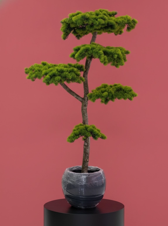 Çamur Saksıda Yapay Bonsai Ağaç  180 Cm 