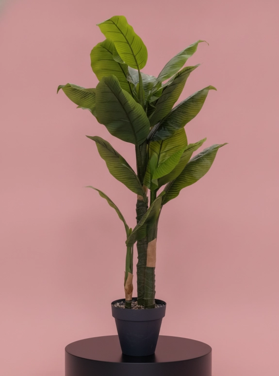 Saksıda Yapay 3 Gövdeli Muz Ağaç  155 Cm 